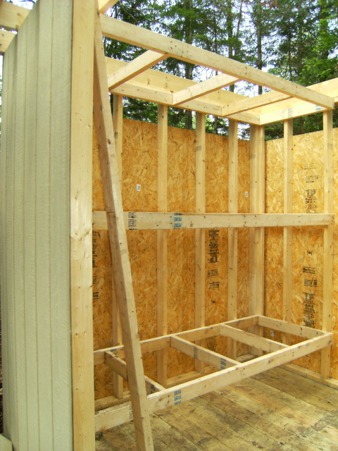 New Adirondack Shelter (step-by-step building pix)